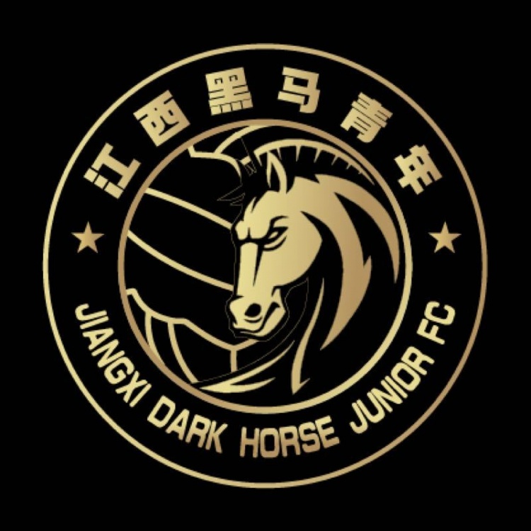  官方：江西黑馬青年完成異地遷移程序，更名為溫州職業(yè)足球俱樂部